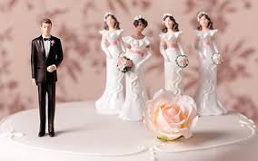 http://ehyde.files.wordpress.com/2013/03/polygamy-cake.jpg